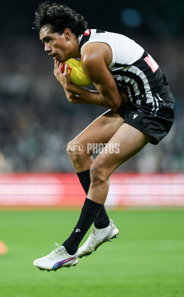 AFL 2025 Round 09 - Port Adelaide v Adelaide - A-59401368
