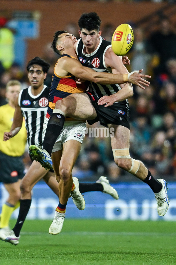AFL 2025 Round 09 - Port Adelaide v Adelaide - A-59401391