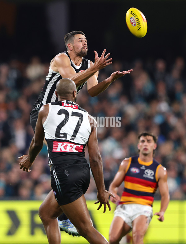 AFL 2025 Round 09 - Port Adelaide v Adelaide - A-59402046