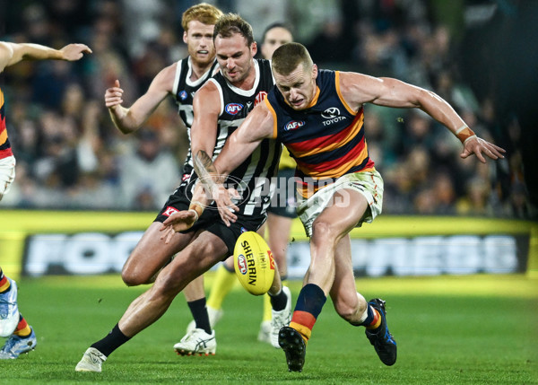 AFL 2025 Round 09 - Port Adelaide v Adelaide - A-59402047