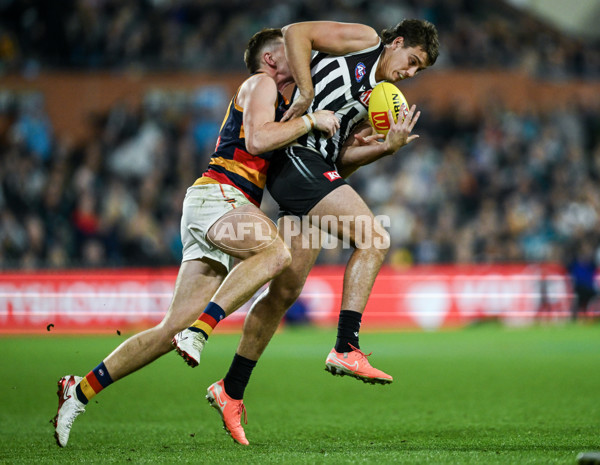 AFL 2025 Round 09 - Port Adelaide v Adelaide - A-59402053