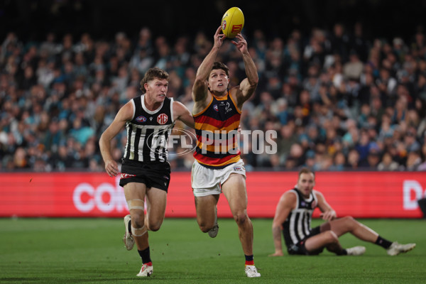 AFL 2025 Round 09 - Port Adelaide v Adelaide - A-59402061