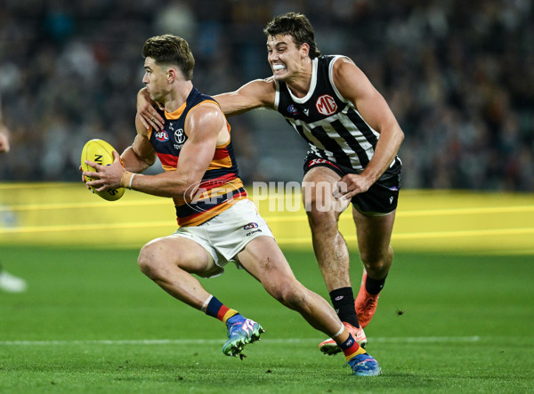 AFL 2025 Round 09 - Port Adelaide v Adelaide - A-59402066