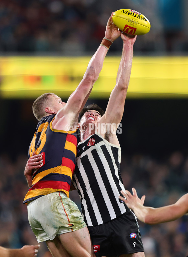 AFL 2025 Round 09 - Port Adelaide v Adelaide - A-59404054