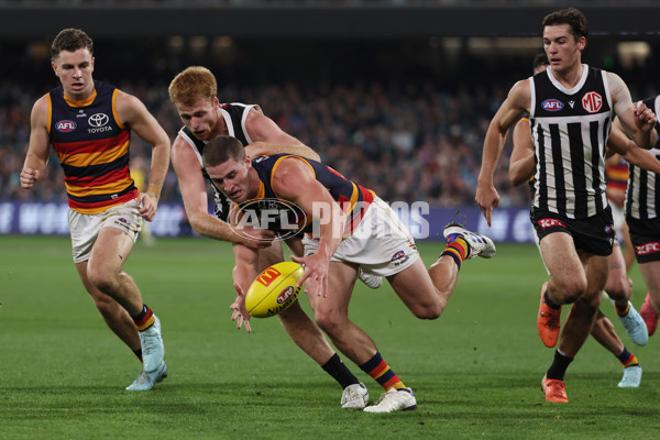 AFL 2025 Round 09 - Port Adelaide v Adelaide - A-59404056