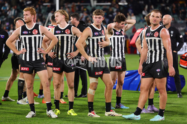AFL 2025 Round 09 - Port Adelaide v Adelaide - A-59404404