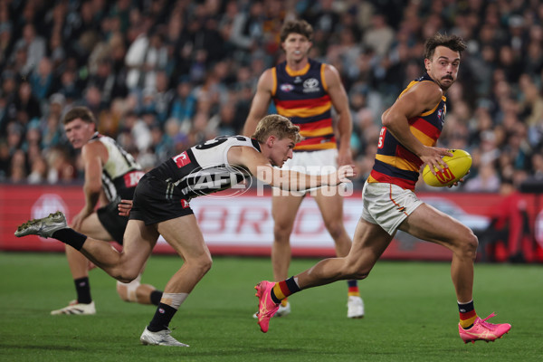 AFL 2025 Round 09 - Port Adelaide v Adelaide - A-59404447