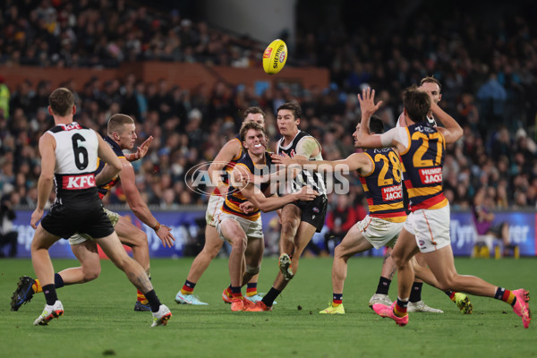 AFL 2025 Round 09 - Port Adelaide v Adelaide - A-59404448