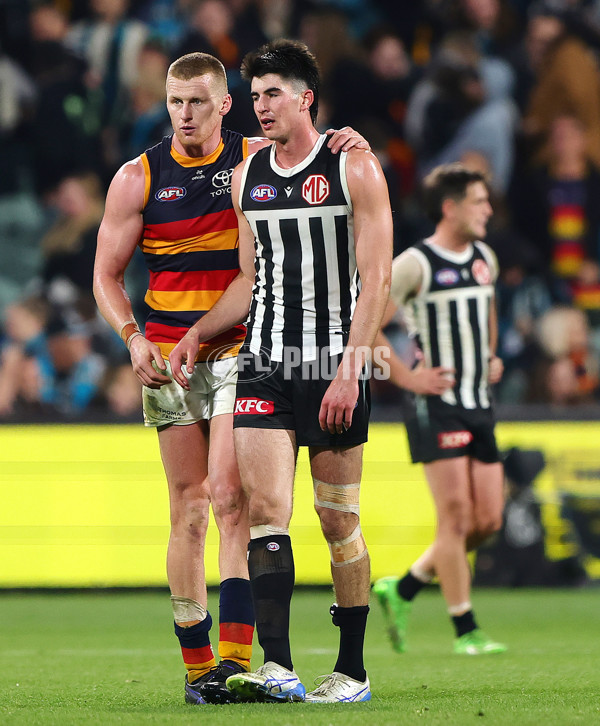 AFL 2025 Round 09 - Port Adelaide v Adelaide - A-59406395