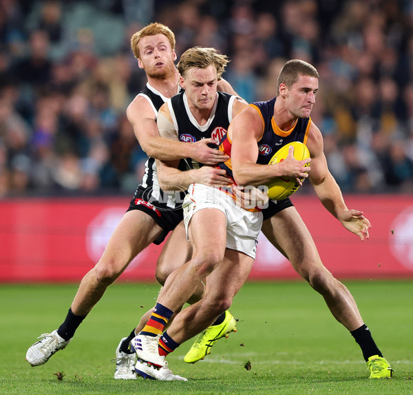 AFL 2025 Round 09 - Port Adelaide v Adelaide - A-59406408