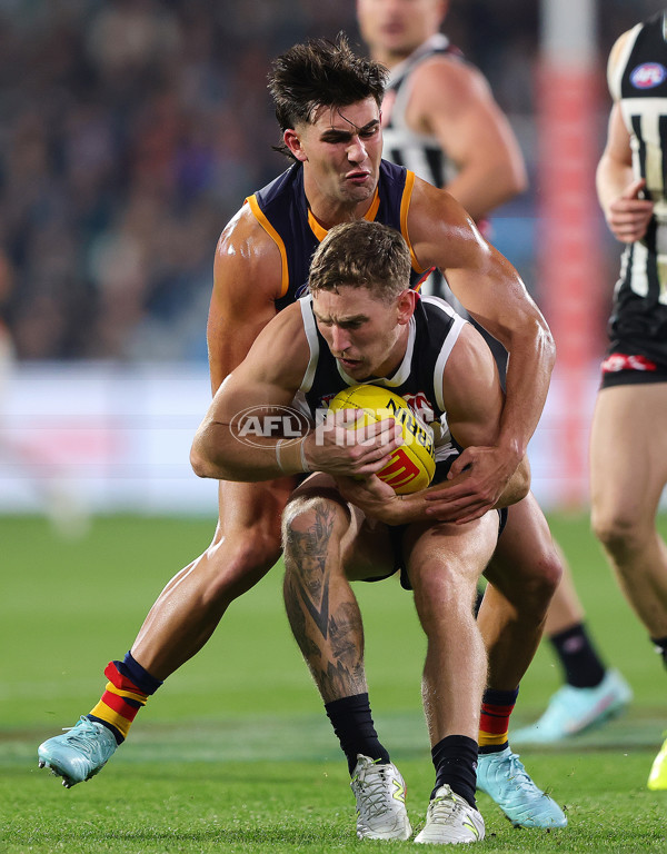 AFL 2025 Round 09 - Port Adelaide v Adelaide - A-59406414