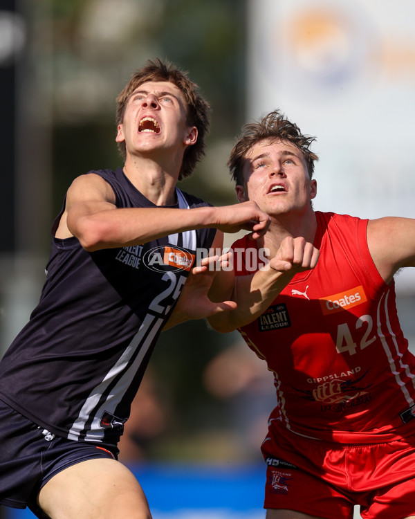 Coates League Boys 2025 Round 06 - Geelong Falcons v Gippsland Power - A-59406482