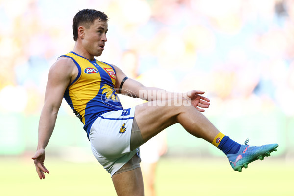AFL 2025 Round 09 - Richmond v West Coast - A-59410068