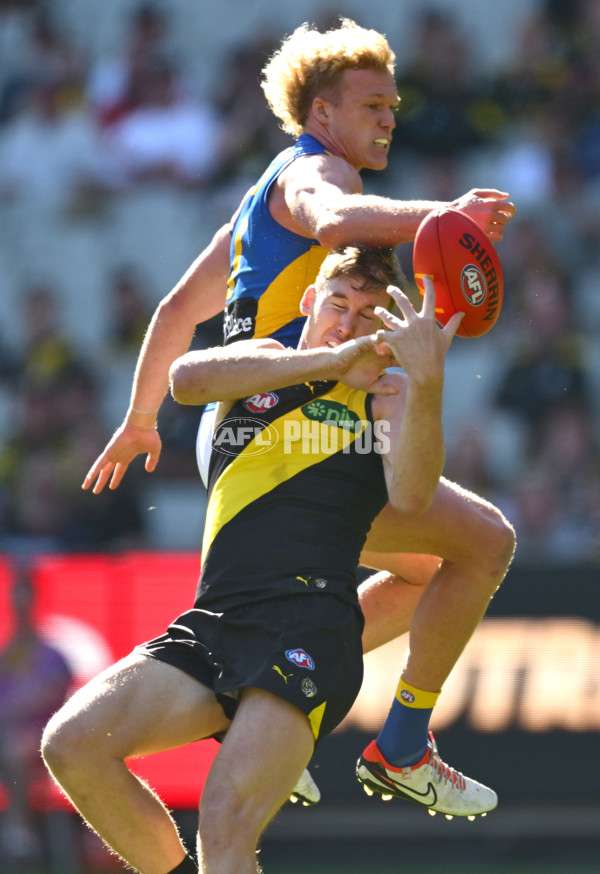 AFL 2025 Round 09 - Richmond v West Coast - A-59410086