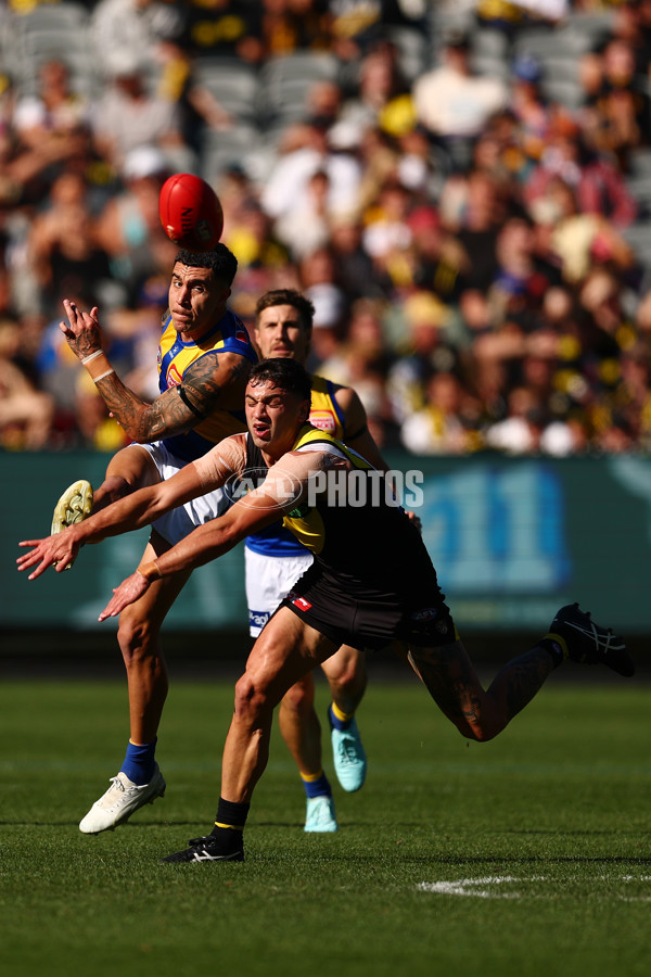 AFL 2025 Round 09 - Richmond v West Coast - A-59410109