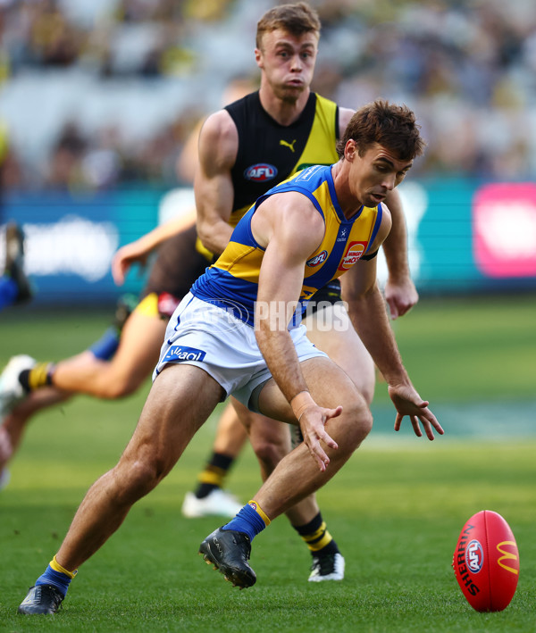 AFL 2025 Round 09 - Richmond v West Coast - A-59411640
