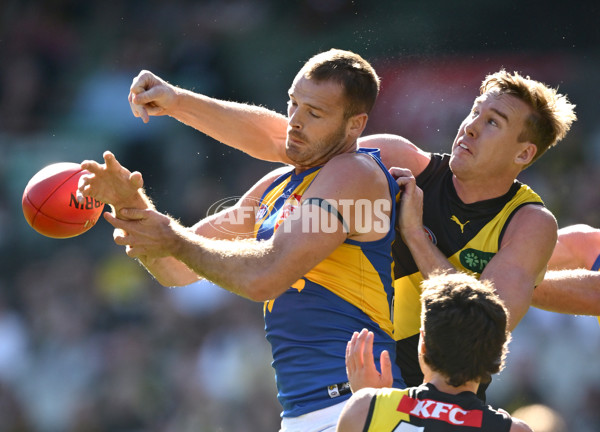 AFL 2025 Round 09 - Richmond v West Coast - A-59411672