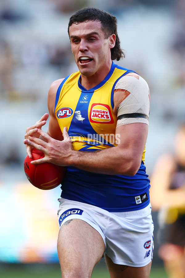 AFL 2025 Round 09 - Richmond v West Coast - A-59411673