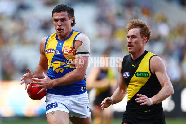 AFL 2025 Round 09 - Richmond v West Coast - A-59411674