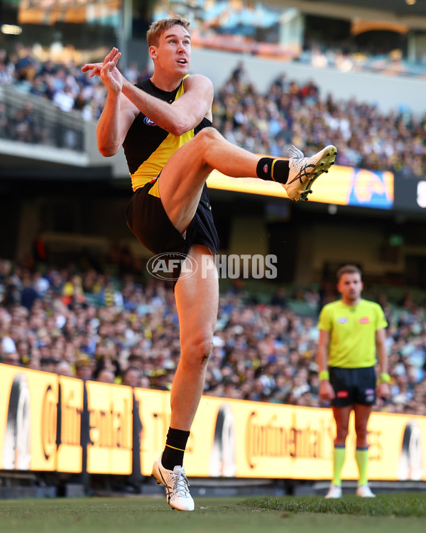 AFL 2025 Round 09 - Richmond v West Coast - A-59411694