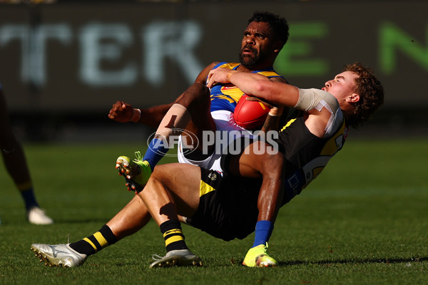 AFL 2025 Round 09 - Richmond v West Coast - A-59412994
