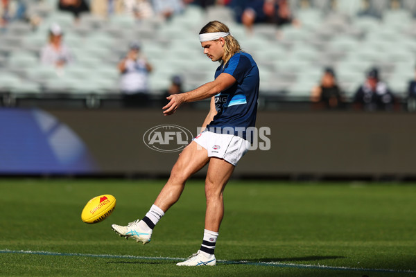 AFL 2025 Round 09 - Geelong v GWS - A-59413016