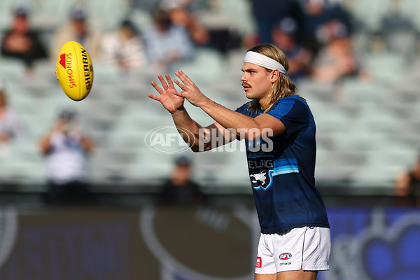 AFL 2025 Round 09 - Geelong v GWS - A-59413017