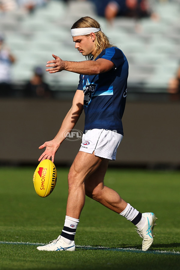 AFL 2025 Round 09 - Geelong v GWS - A-59413018