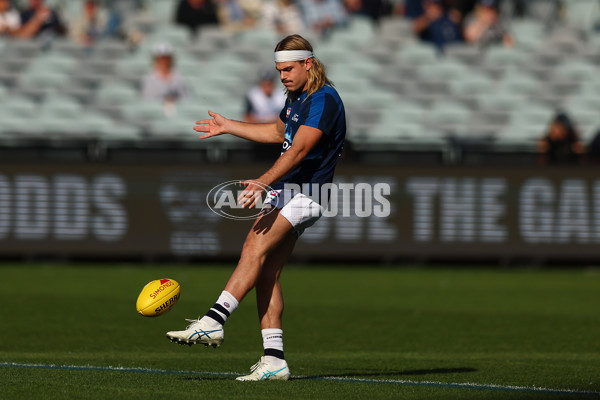 AFL 2025 Round 09 - Geelong v GWS - A-59413021