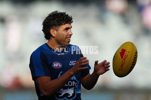 AFL 2025 Round 09 - Geelong v GWS - A-59413032