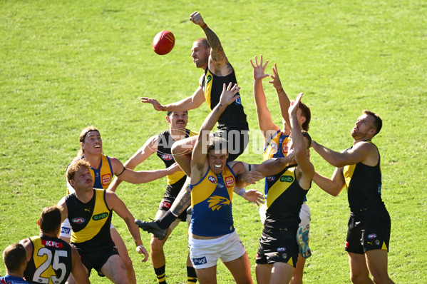 AFL 2025 Round 09 - Richmond v West Coast - A-59413044