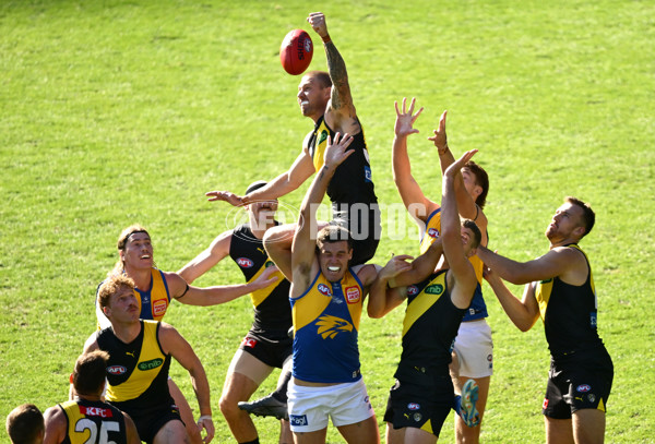 AFL 2025 Round 09 - Richmond v West Coast - A-59413045