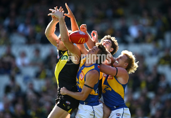 AFL 2025 Round 09 - Richmond v West Coast - A-59414769