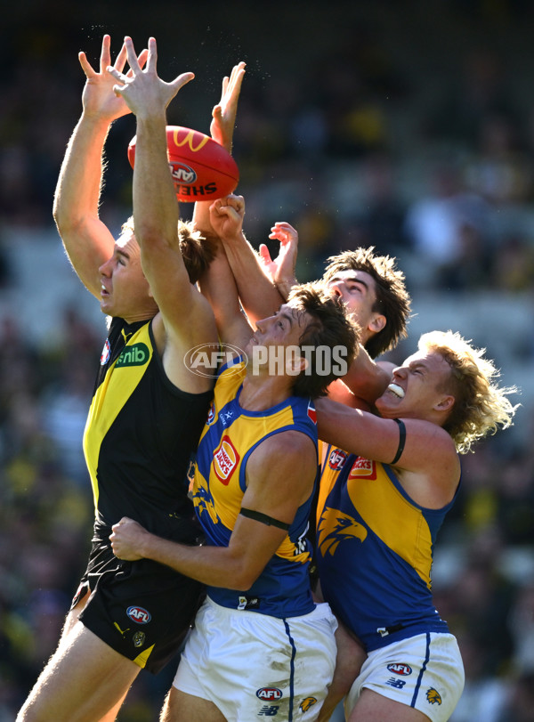 AFL 2025 Round 09 - Richmond v West Coast - A-59414770