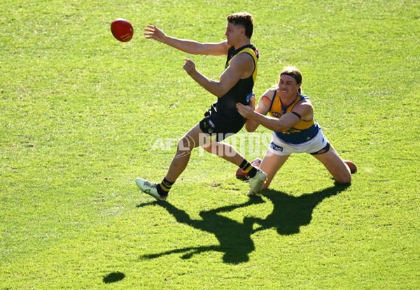 AFL 2025 Round 09 - Richmond v West Coast - A-59414794