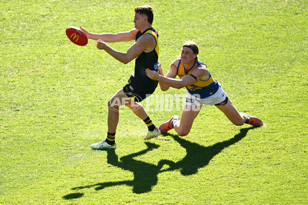AFL 2025 Round 09 - Richmond v West Coast - A-59414795