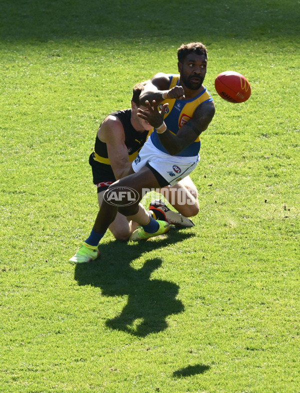 AFL 2025 Round 09 - Richmond v West Coast - A-59414821