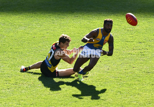 AFL 2025 Round 09 - Richmond v West Coast - A-59414822