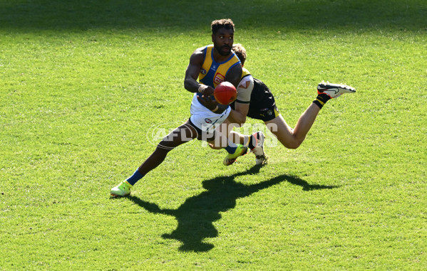 AFL 2025 Round 09 - Richmond v West Coast - A-59414823
