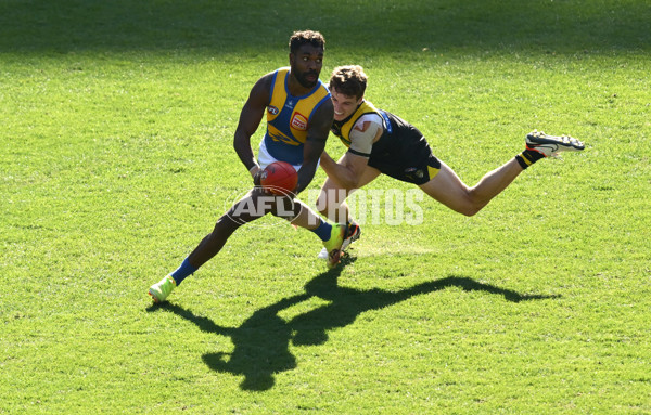 AFL 2025 Round 09 - Richmond v West Coast - A-59414824