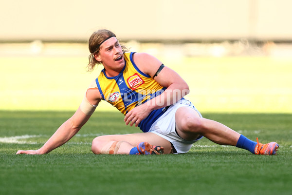 AFL 2025 Round 09 - Richmond v West Coast - A-59414825