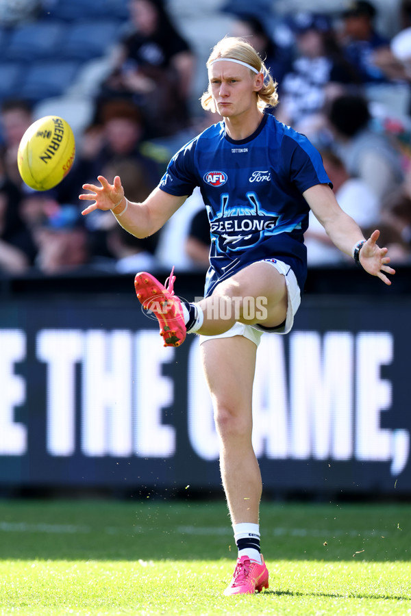 AFL 2025 Round 09 - Geelong v GWS - A-59415787