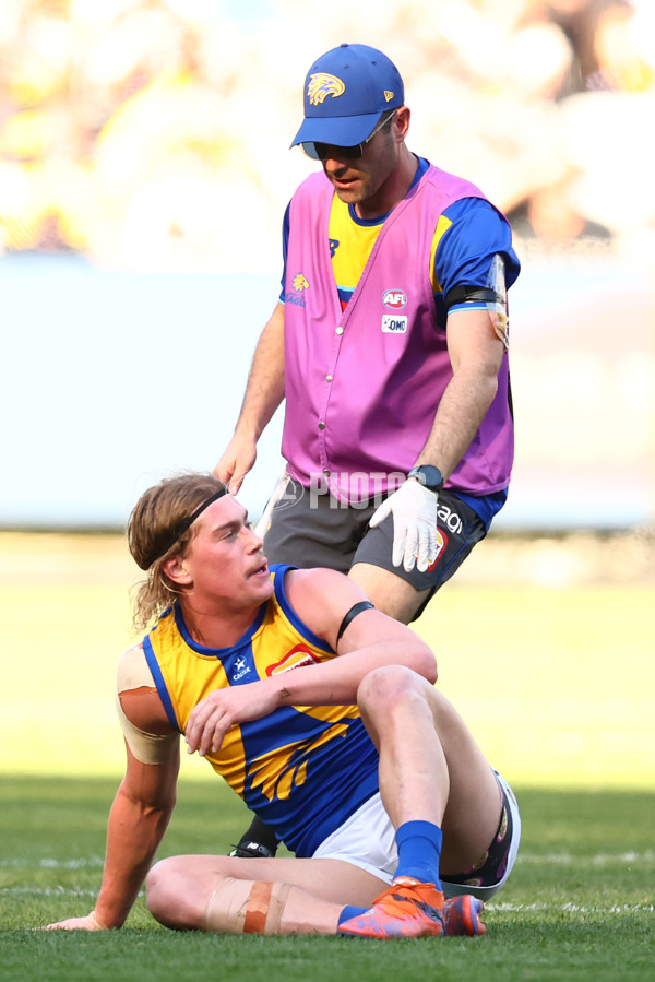 AFL 2025 Round 09 - Richmond v West Coast - A-59415802