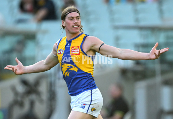 AFL 2025 Round 09 - Richmond v West Coast - A-59415867