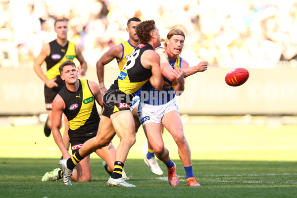 AFL 2025 Round 09 - Richmond v West Coast - A-59417498