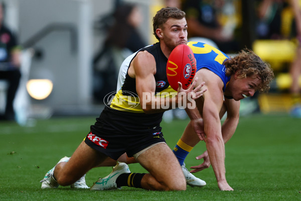 AFL 2025 Round 09 - Richmond v West Coast - A-59417508