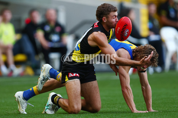 AFL 2025 Round 09 - Richmond v West Coast - A-59417509