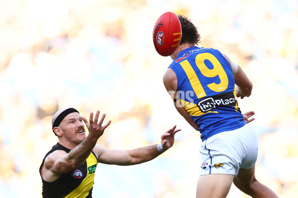 AFL 2025 Round 09 - Richmond v West Coast - A-59417530