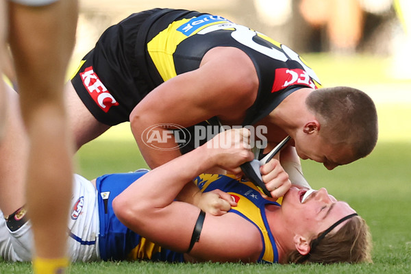 AFL 2025 Round 09 - Richmond v West Coast - A-59417537