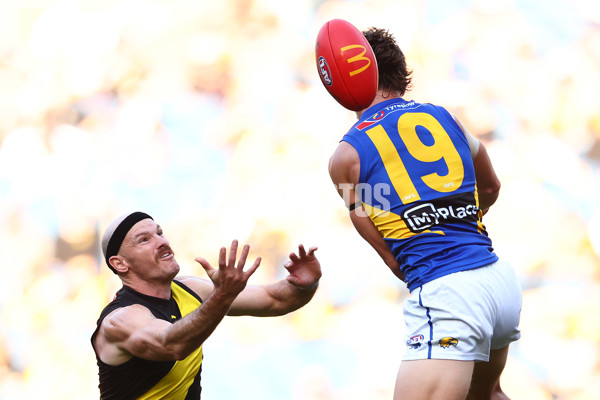 AFL 2025 Round 09 - Richmond v West Coast - A-59418910